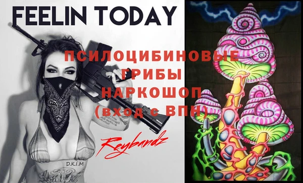 ешки Белоозёрский