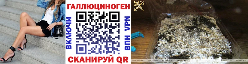 Псилоцибиновые грибы Psilocybe  мега сайт  Севск 